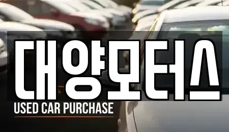 전남 해남군 북일면 중고차 전문 대양모터스