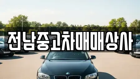 전라남도 고흥군 도화면 렌트카,단기렌트카,장기렌트카,중고차,중고차매매,중고차매입