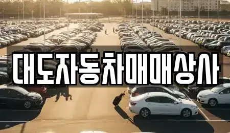 전라남도 광양시 옥룡면 중고차 전문 대도자동차매매상사