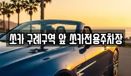 전라남도 구례군 문척면 렌트카 전문 쏘카 구례구역 앞 쏘카전용주차장