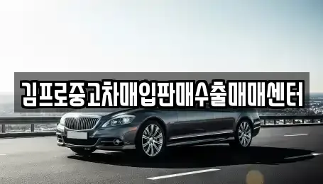 전라남도 구례군 문척면 중고차매입 전문 김프로중고차매입판매수출매매센터
