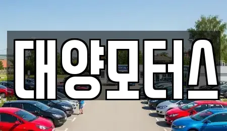 전라남도 나주시 관정동 중고차 전문 대양모터스