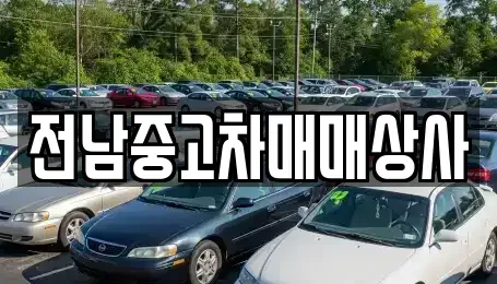 전라남도 나주시 금계동 중고차 전문 전남중고차매매상사