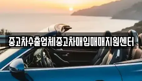 전라남도 나주시 금계동 중고차매입 전문 중고차수출업체중고차매입매매지원센터