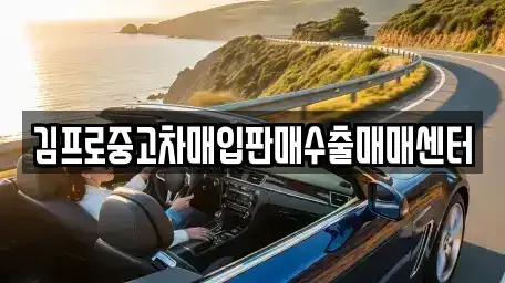 전라남도 나주시 금성동 중고차매매 전문 김프로중고차매입판매수출매매센터