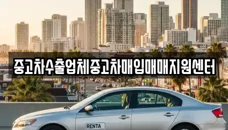 전라남도 나주시 금성동 중고차매매 전문 중고차수출업체중고차매입매매지원센터