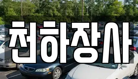 전라남도 담양군 담양읍 중고차매매 전문 천하장사