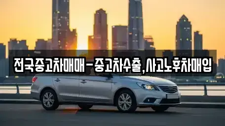 전라남도 목포시 대의동3가 중고차 전문 전국중고차매매-중고차수출,사고노후차매입