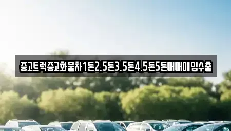 전라남도 목포시 대의동3가 중고차매입 전문 중고트럭중고화물차1톤2.5톤3.5톤4.5톤5톤매매매입수출