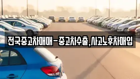 전라남도 목포시 행복동1가 중고차매입 전문 전국중고차매매-중고차수출,사고노후차매입