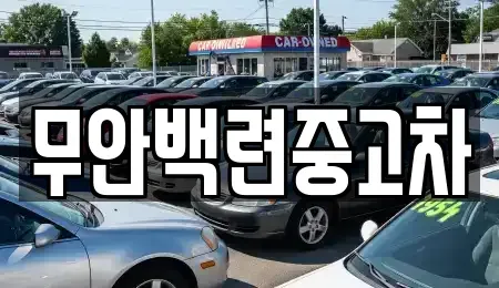 전라남도 무안군 무안읍 중고차매매 전문 무안백련중고차