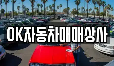 전라남도 여수시 돌산읍 중고차 전문 OK자동차매매상사
