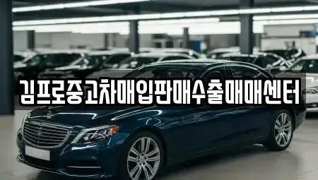 전라남도 여수시 돌산읍 중고차매입 전문 김프로중고차매입판매수출매매센터