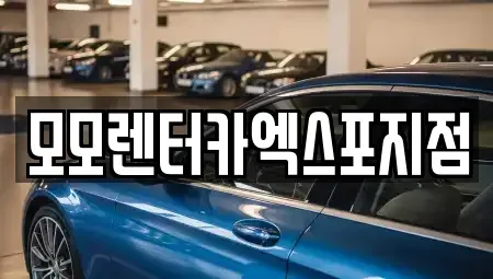 전라남도 여수시 충무동 렌트카 전문 모모렌터카엑스포지점