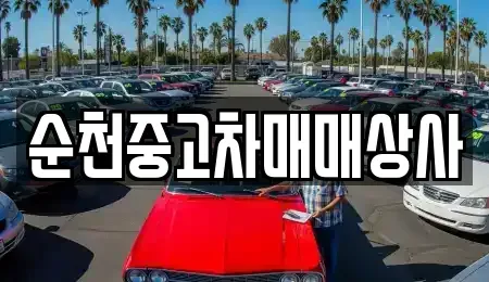 전라남도 완도군 금일읍 렌트카,단기렌트카,장기렌트카,중고차,중고차매매,중고차매입