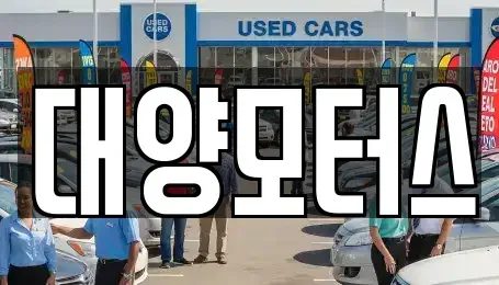 전라남도 함평군 월야면 중고차매매 전문 대양모터스