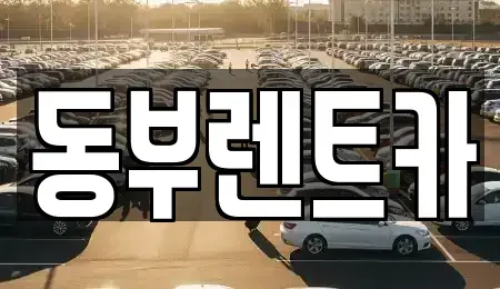 전라남도 해남군 해남읍 렌트카 전문 동부렌트카