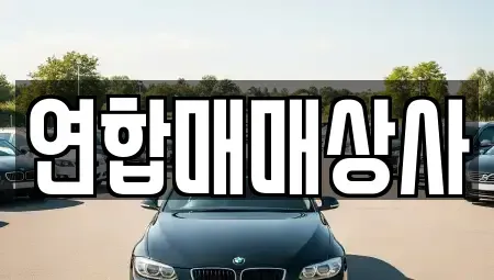 전라남도 해남군 해남읍 중고차 전문 연합매매상사