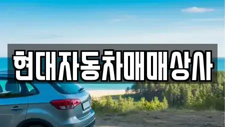 전라남도 해남군 해남읍 중고차 전문 현대자동차매매상사