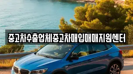 전북 김제시 교동 중고차 전문 중고차수출업체중고차매입매매지원센터