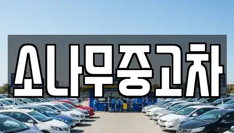 전북 김제시 교동 중고차매매 전문 소나무중고차