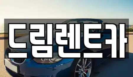 전북 완주군 용진읍 렌트카 전문 드림렌트카