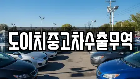 전북 전주시 덕진구 금상동 중고차매매 전문 도이치중고차수출무역