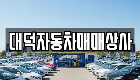 전북 전주시 덕진구 송천동2가 중고차 전문 대덕자동차매매상사