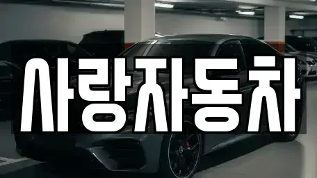 전북 전주시 덕진구 송천동2가 중고차 전문 사랑자동차