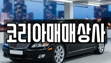 전북 전주시 덕진구 송천동2가 중고차 전문 코리아매매상사