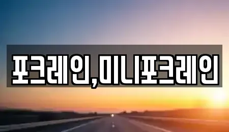 전북 전주시 덕진구 송천동2가 중고차매입 전문 포크레인,미니포크레인