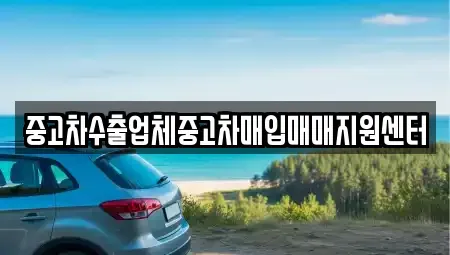 전북 전주시 완산구 평화동1가 중고차 전문 중고차수출업체중고차매입매매지원센터