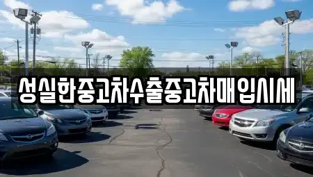 전북 전주시 완산구 평화동1가 중고차매매 전문 성실한중고차수출중고차매입시세