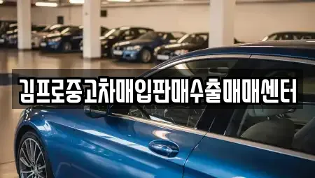 전북 전주시 완산구 풍남동3가 중고차매입 전문 김프로중고차매입판매수출매매센터
