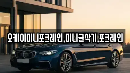 전북특별자치도 남원시 대강면 중고차 전문 오케이미니포크레인,미니굴삭기,포크레인
