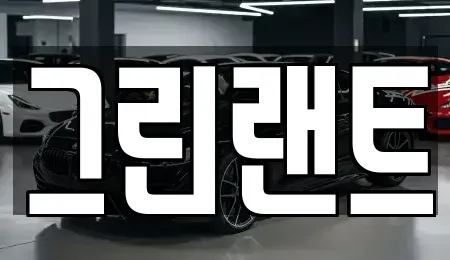 전북특별자치도 전주시 완산구 중화산동2가 렌트카 전문 그린랜트