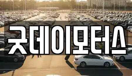 전북특별자치도 전주시 완산구 중화산동2가 중고차매매 전문 굿데이모터스