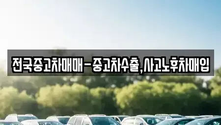 전북특별자치도 전주시 완산구 중화산동2가 중고차매매 전문 전국중고차매매-중고차수출,사고노후차매입