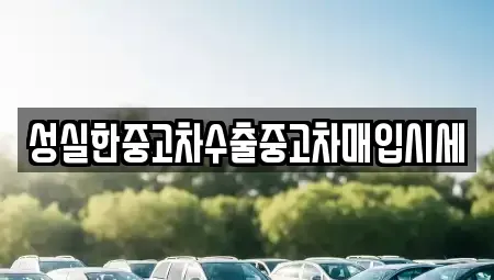전북특별자치도 전주시 완산구 중화산동2가 중고차매입 전문 성실한중고차수출중고차매입시세