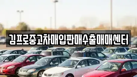 전북특별자치도 전주시 완산구 풍남동1가 중고차매입 전문 김프로중고차매입판매수출매매센터