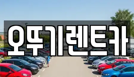 전북특별자치도 정읍시 농소동 렌트카 전문 오뚜기렌트카
