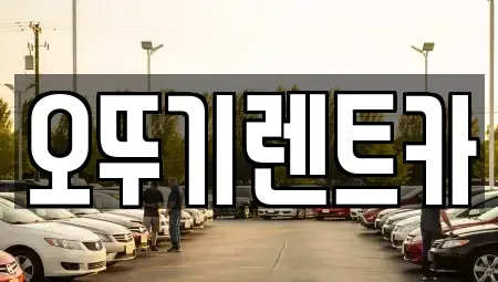 전북특별자치도 정읍시 수성동 단기렌트카 전문 오뚜기렌트카