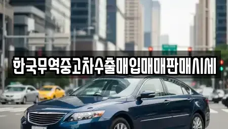 전북특별자치도 정읍시 수성동 중고차매매,단기렌트카,중고차매입,장기렌트카,중고차,렌트카
