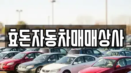 제주 서귀포시 보목동 중고차매매 전문 효돈자동차매매상사