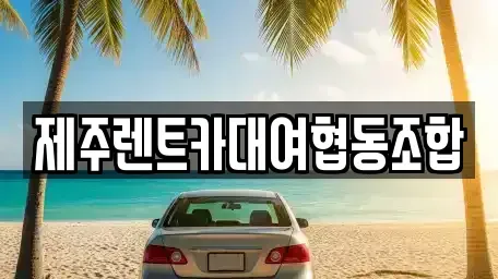 제주 제주시 내도동 렌트카 전문 제주렌트카대여협동조합