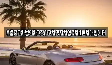 제주 제주시 내도동 중고차 전문 수출중고차법인차고장사고차망자차압류차1톤차매입센터