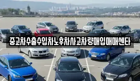 제주 제주시 내도동 중고차 전문 중고차수출수입차노후차사고차량매입매매센타