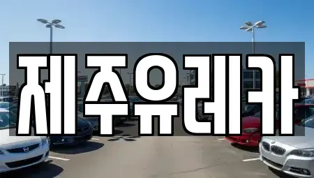 제주특별자치도 제주시 렌트카 전문 제주유레카
