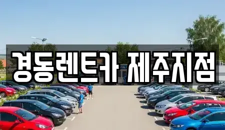 제주특별자치도 제주시 장기렌트카 전문 경동렌트카 제주지점