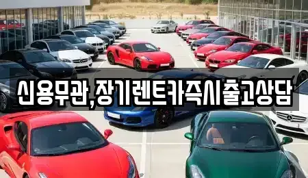 제주특별자치도 제주시 장기렌트카,중고차,렌트카,단기렌트카,중고차매입,중고차매매